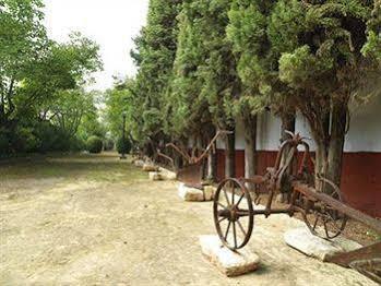 Hacienda La Vereda Montilla Esterno foto